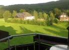 Sommer-Aussicht vom Balkon
